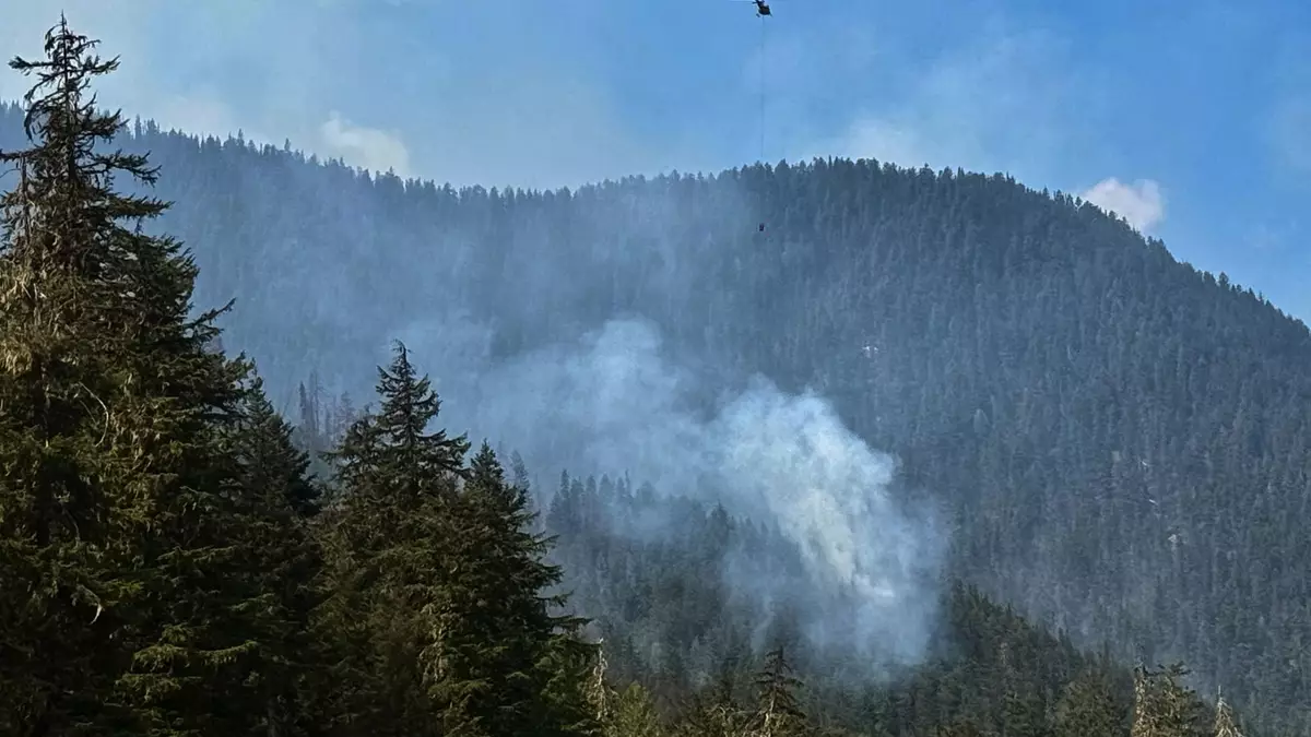 In Kanada und den USA wüten häufig verheerende Waldbrände. - Bild: Haven Daley/AP/dpa