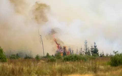 Flammen in der Hochmoor- und Sumpflandschaft Hohe Venn - es liegt unweit der deutschen Grenze. - Foto: Christoph Reichwein/dpa