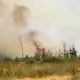 Flammen in der Hochmoor- und Sumpflandschaft Hohe Venn - es liegt unweit der deutschen Grenze. - Bild: Christoph Reichwein/dpa