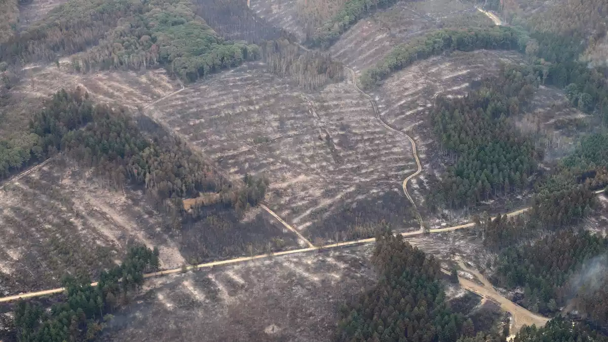 Die Aufnahme aus einem Flugzeug zeigt das Waldbrandgebiet im Hürtgenwald. - Bild: Sascha Thelen/dpa