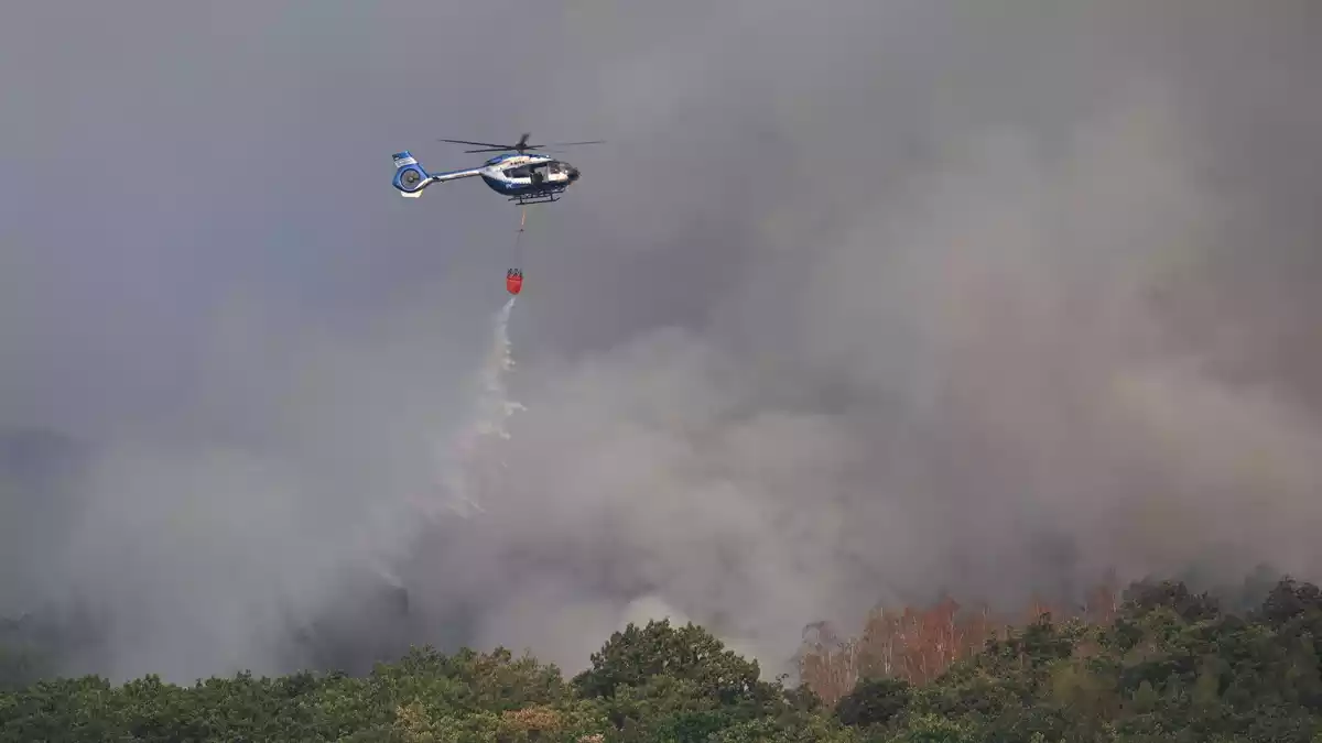 Der Waldbrand ist unter Kontrolle. - Bild: Federico Gambarini/dpa