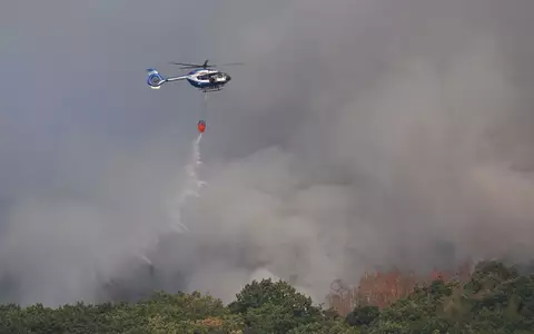 Der Waldbrand ist unter Kontrolle. - Foto: Federico Gambarini/dpa