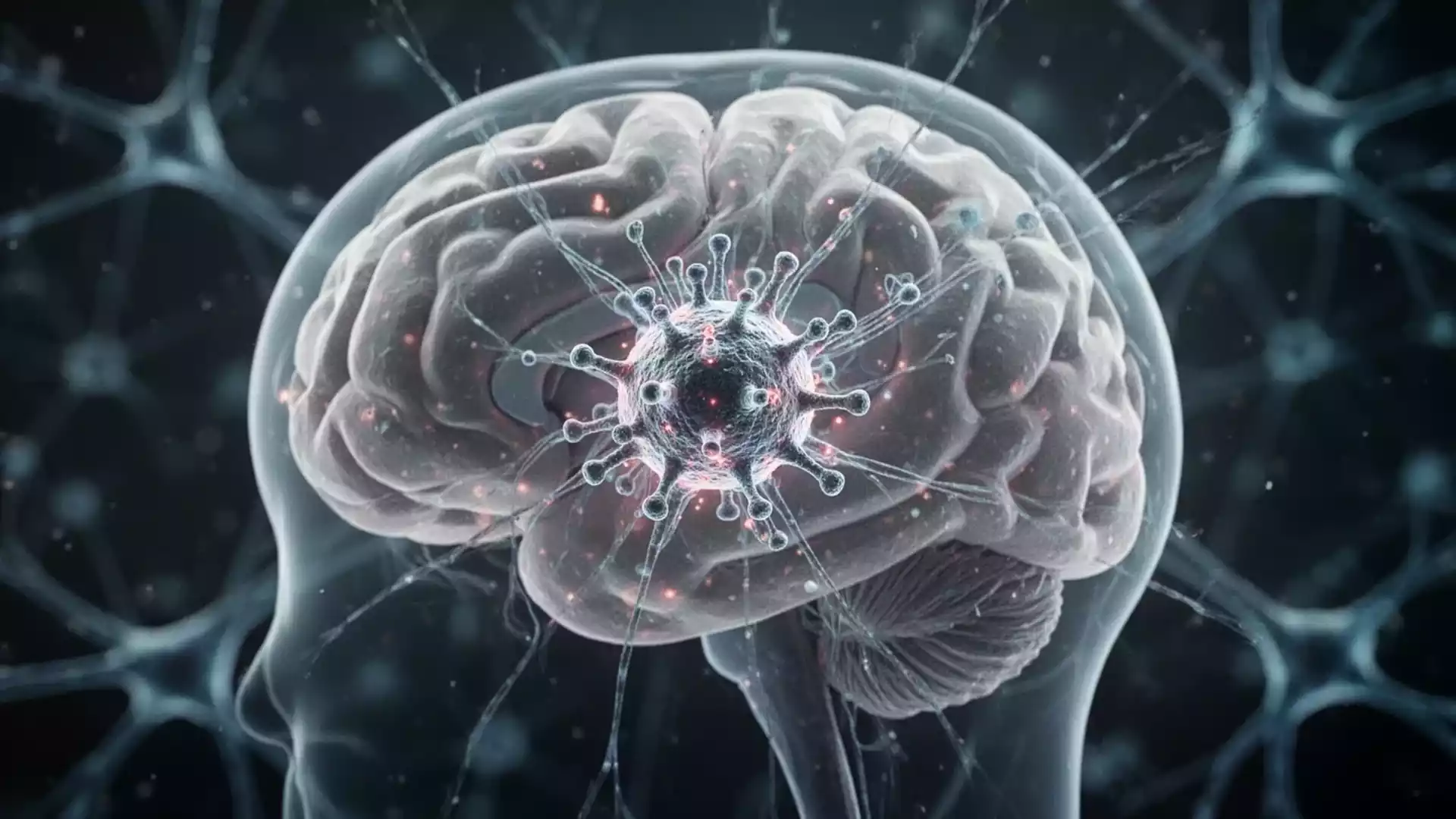 New Alzheimer’s Research: Microglia Blockade Increases Sleep and Brain Health