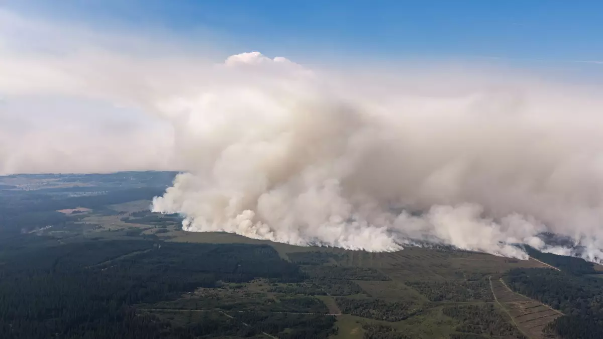 Der Waldbrand im belgischen Moorgebiet. - Bild: Christoph Reichwein/dpa