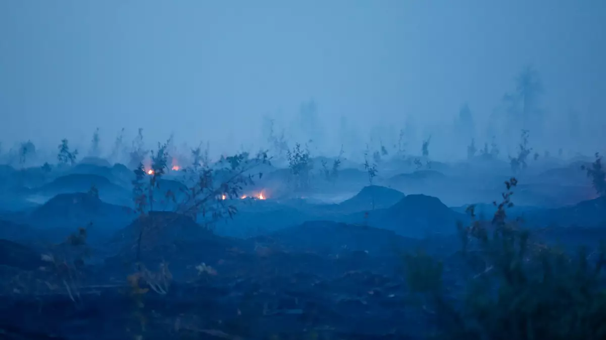 Weite Teile des Hohen Venn an der Grenze zu Deutschland sind von den Flammen betroffen. - Bild: Thomas Banneyer/dpa