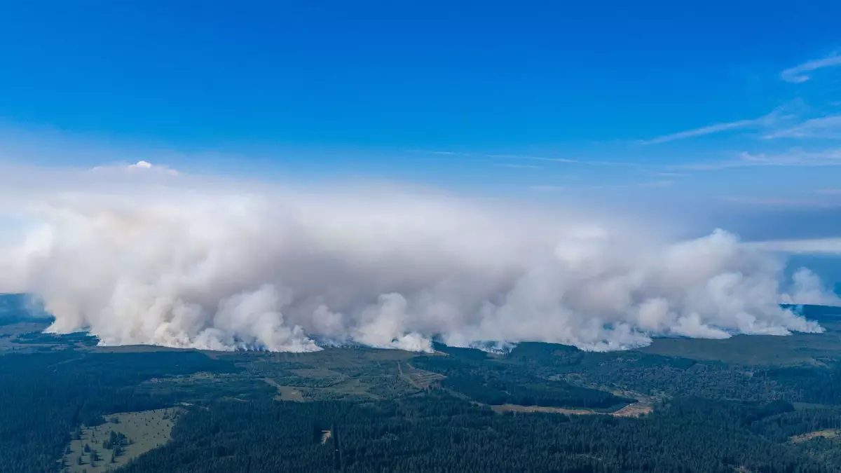 Belgien kämpft mit dem größten Waldbrand in der Geschichte des Landes. - Bild: Christoph Reichwein/dpa