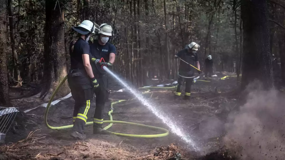 Im Hürtgenwald werden noch Brandnester bekämpft. - Bild: Christian Knieps/dpa