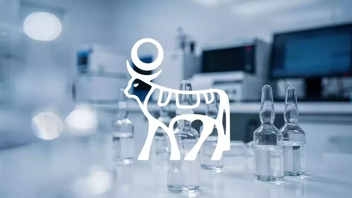 Novo Nordisk Wins Patent Case but Stock Slumps as Oral Weight-Loss Race Heats Up