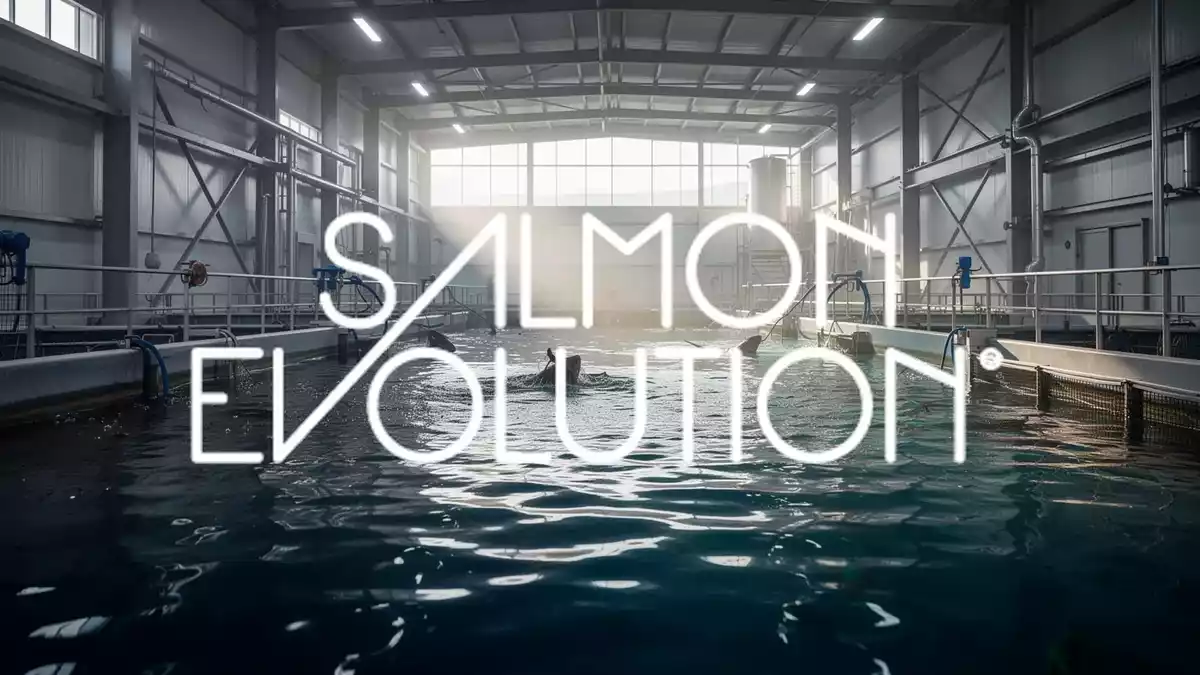 Salmon Evolution: Q2-Zahlen morgen, Phase 2 startet erfolgreich