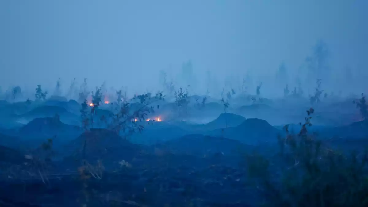 Ein Brand im Hochmoor kann sich unterirdisch fortsetzen.  - Bild: Thomas Banneyer/dpa