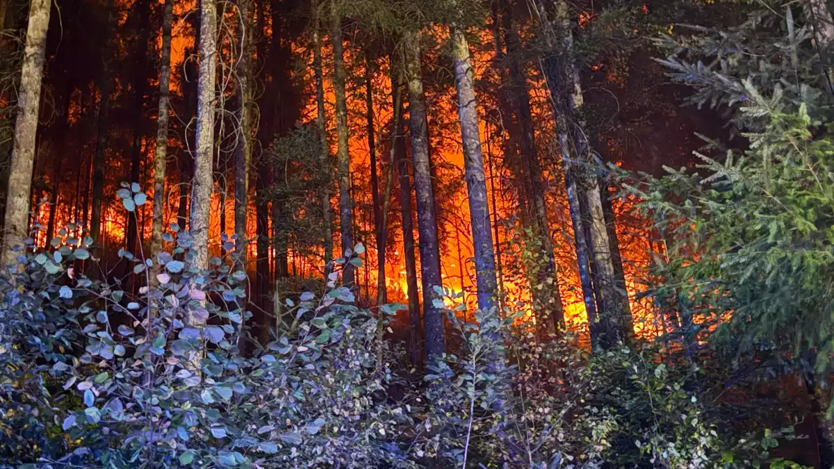 In mehreren Regionen kämpfen Feuerwehrleute gegen Flammen.  - Bild: Marius Daute/Feuerwehr Rottweil/dpa