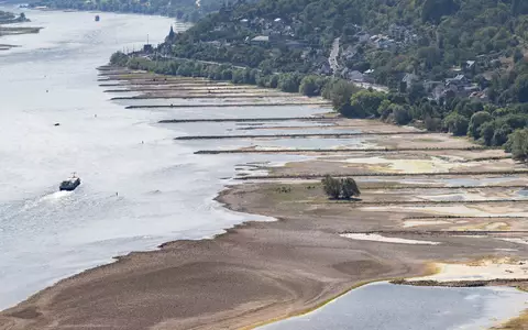 Folge des ungewöhnlich heißen Sommers: Der Rhein führt extrem wenig Wasser. - Foto: Boris Roessler/dpa