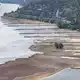 Folge des ungewöhnlich heißen Sommers: Der Rhein führt extrem wenig Wasser. - Bild: Boris Roessler/dpa