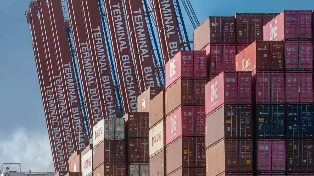 Verdi hat Beschäftigte im Hamburger Hafen zum Warnstreik aufgerufen. (Archivbild)  - Bild: Markus Scholz/dpa
