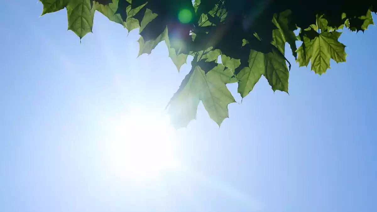 Hauptgrund für die Entwicklung sind laut Forschern weniger Wolken. (Symbolbild) - Bild: Annette Riedl/dpa