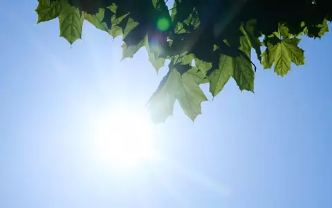 Hauptgrund für die Entwicklung sind laut Forschern weniger Wolken. (Symbolbild) - Foto: Annette Riedl/dpa