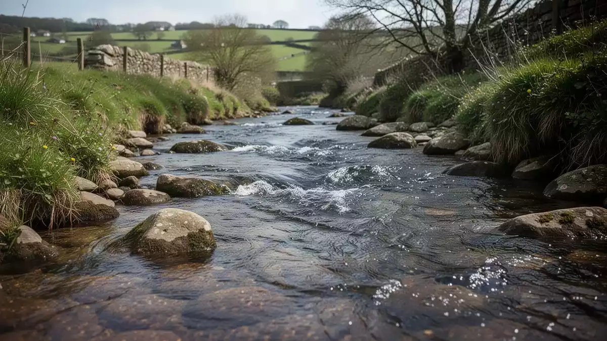 Environmental regulators have launched legal proceedings against Wessex Water over a raw sewage discharge that polluted a nature reserve in 2021, while a Northern Ireland dairy producer has been…