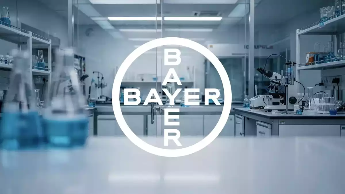 Bayer Stock Split: Legal Delay vs. Strong Q2, Targets Up to €63.50