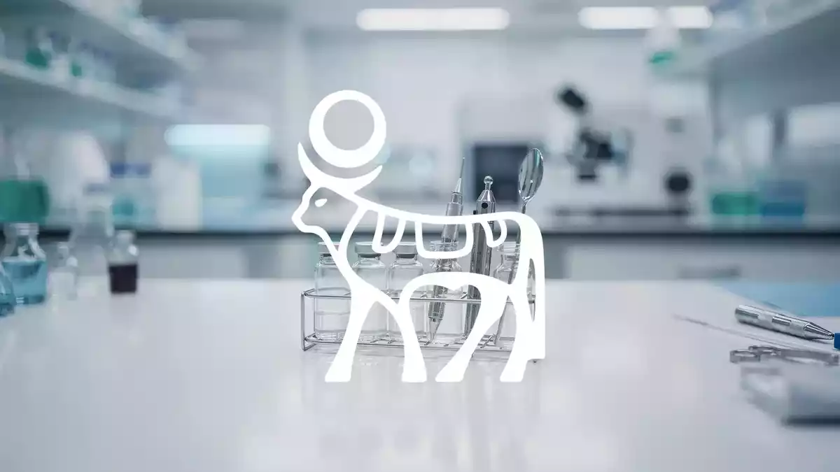 Novo Nordisk Stock Slides Despite Wegovy Wins and Legal Edge Over Lilly