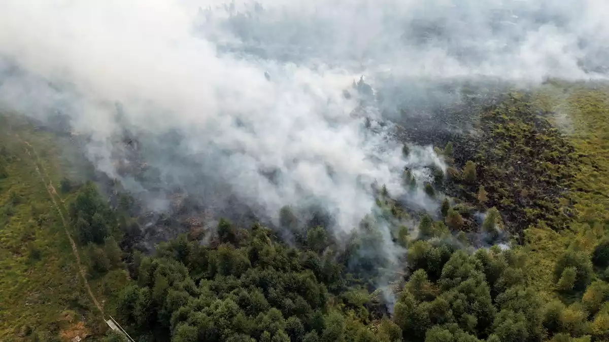 Rauchschwaden ziehen über den großen Waldbrand im Hohen Venn hinweg. - Bild: Kevin Schößler/dpa