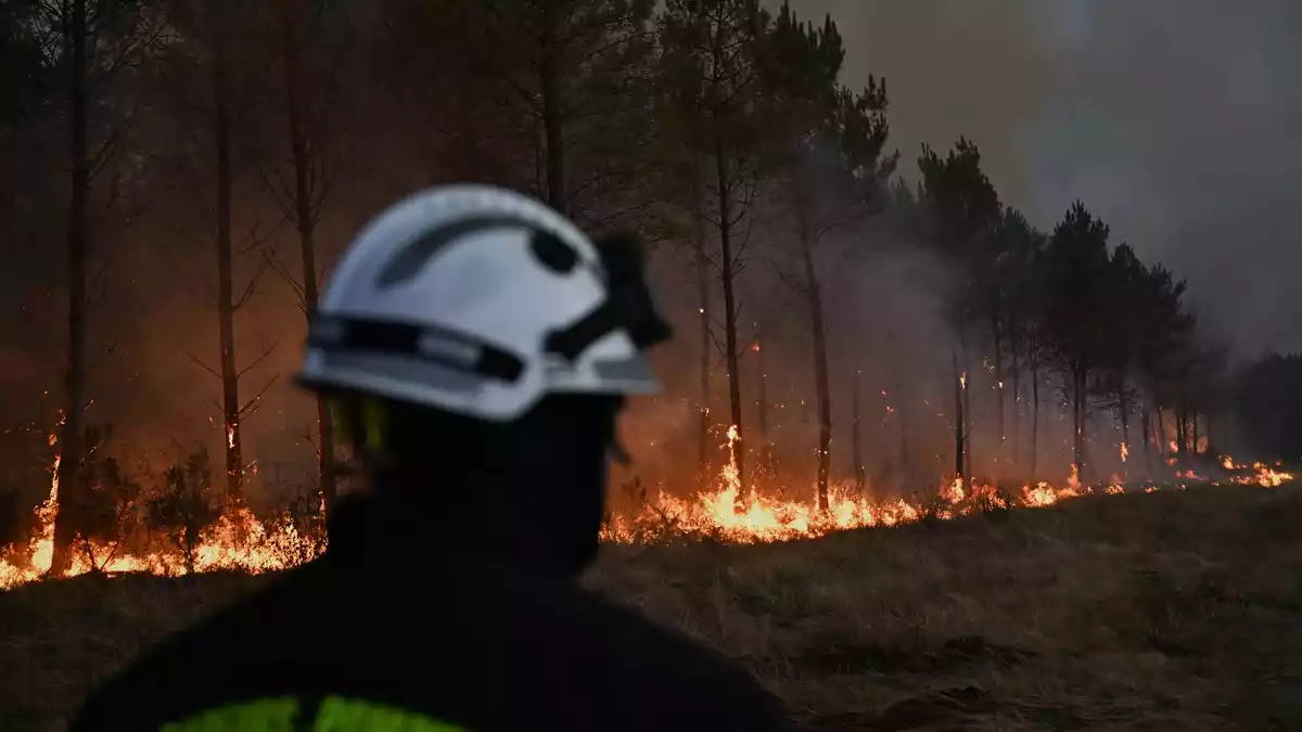 In der Nähe von Bordeaux brannten dieses Jahr Nadelwälder auf einer riesigen Fläche. (Archivbild) - Bild: Emma Da Silva/AP/dpa