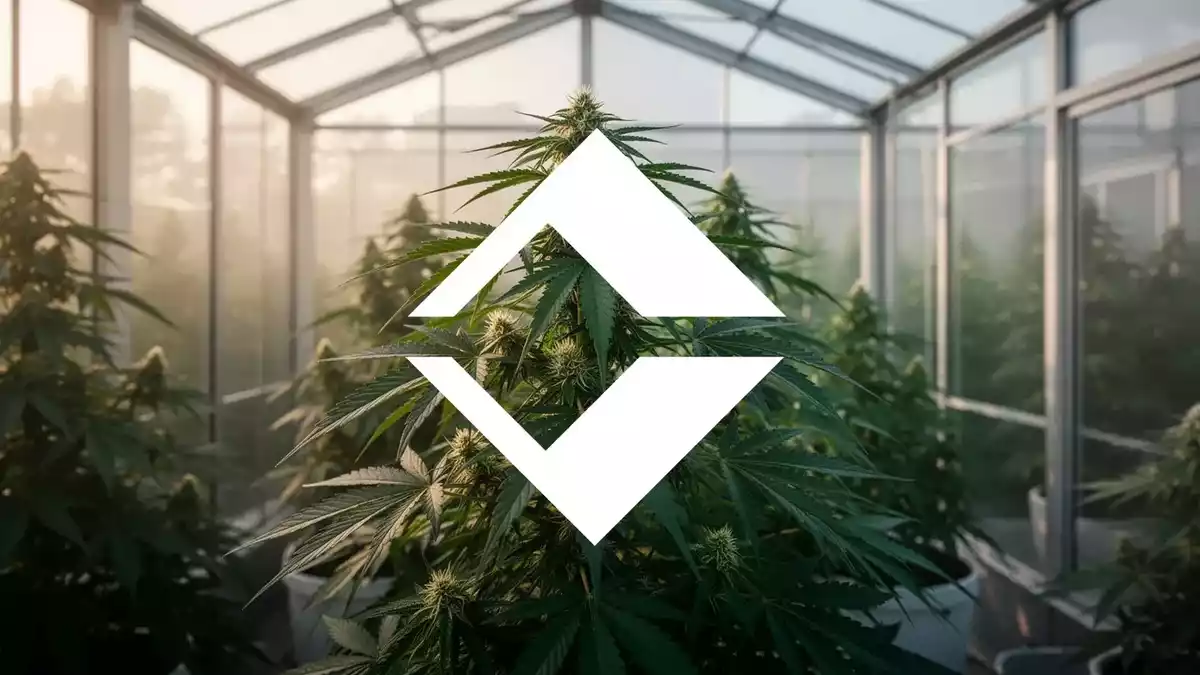 Trulieve Shareholders Back Delaware Move as DEA Rescheduling Hearing Nears End
