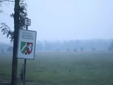 Dichter Rauch im deutsch-belgischen Grenzgebiet durch den Brand im Hohen Venn - Foto: Sascha Thelen/dpa