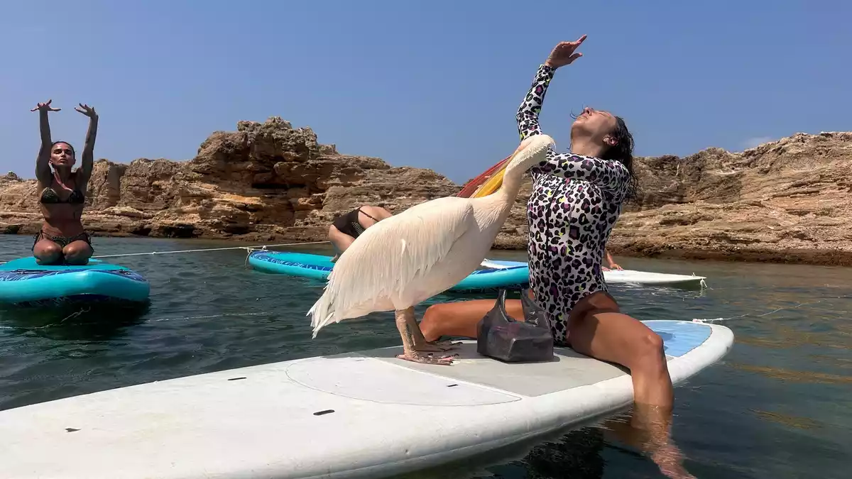 Während der Yoga-Stunde weicht «Pelikanchen» nicht von der Seite von Lehrerin Alik Ohanian. - Bild: Tony Issa/dpa