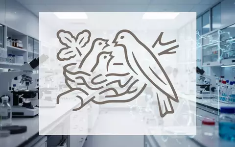 Abstrakte Darstellung einer modernen Laborumgebung und gesundheitsorientierter Forschung für medizinische Ernährung - Foto: über boerse-global.de