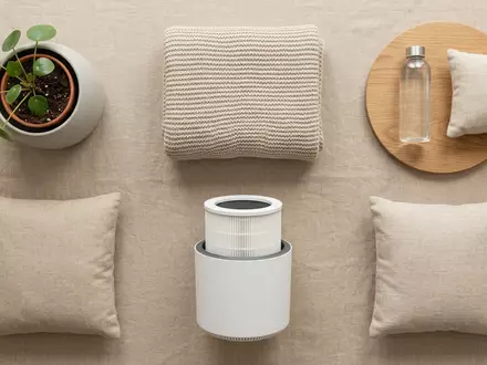 Flatlay-Arrangement rund um Luftreiniger zum Thema Blueair Blue Pure 311i, weiches Oberlicht - Foto: THN