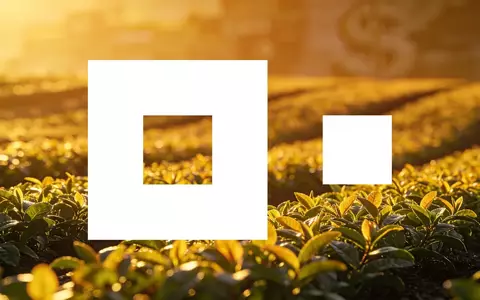 Modernes Agrarfeld bei Sonnenuntergang als Symbol für Wachstum und wirtschaftliche Entwicklung. - Foto: über boerse-global.de