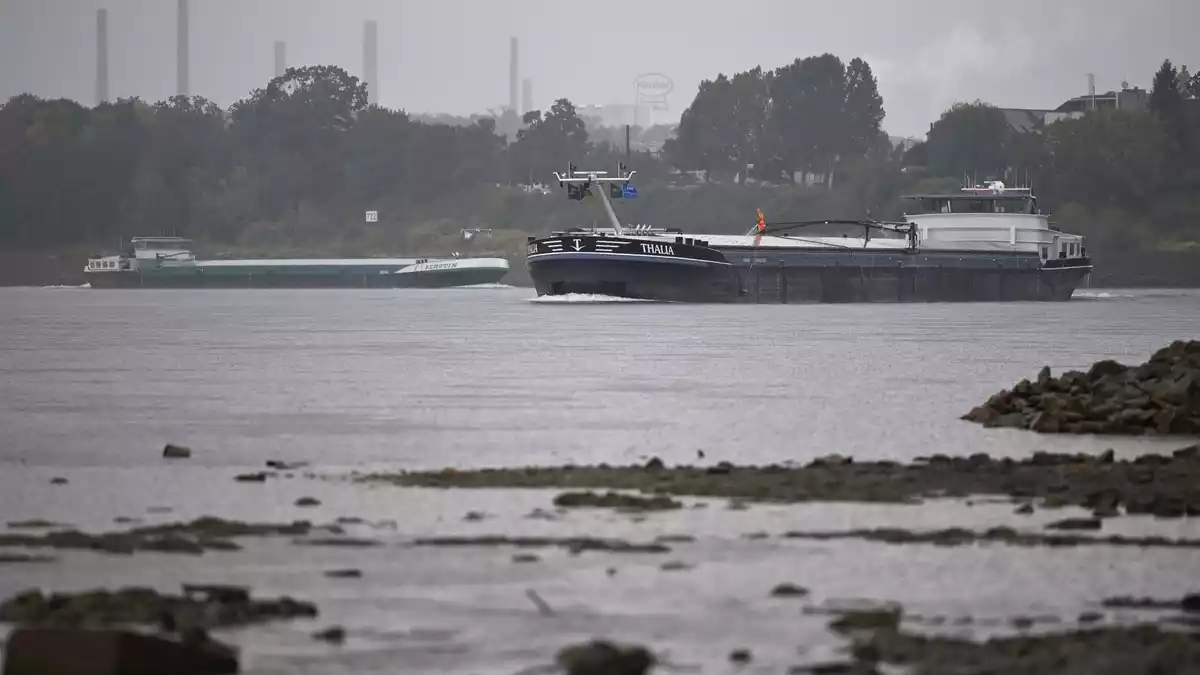 Da sind dann doch mal zwei Frachtschiffe zu sehen: Blick auf den Rhein mit dem Henkel-Werk im Hintergrund. - Bild: Wolf von Dewitz/dpa