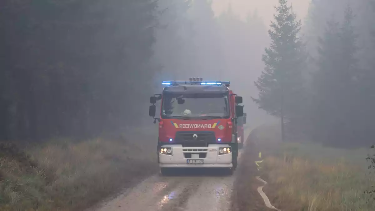 Der kräftezehrende Einsatz dauert an.  - Bild: Sascha Thelen/dpa