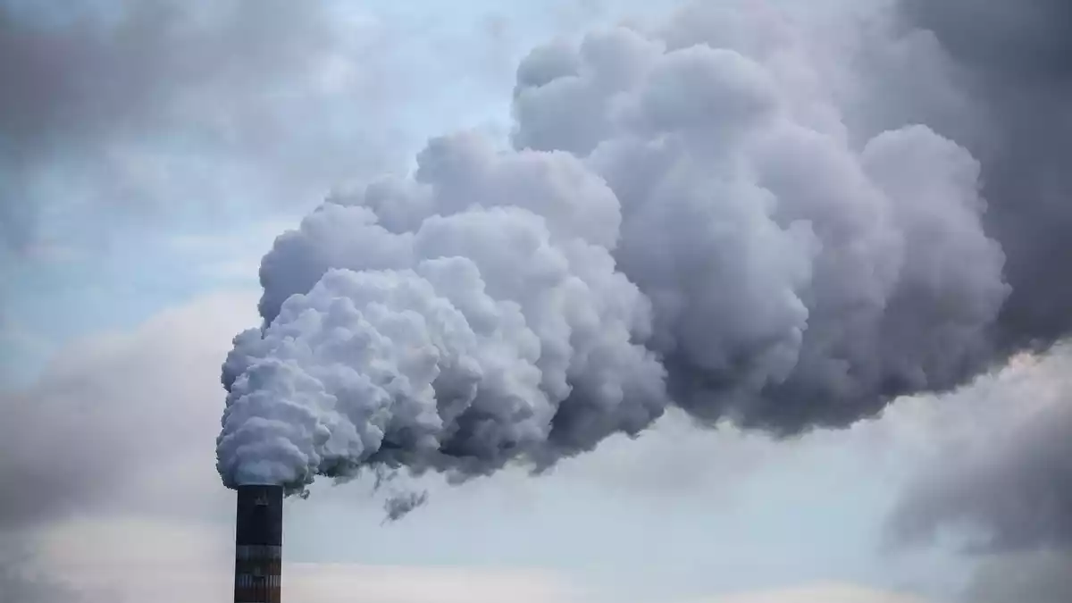 Die Höhe des Preises und starke Schwankungen bremsen Investitionen in klimafreundliche Projekte, meint das Ifo. (Symbolbild) - Bild: Jan Woitas/dpa