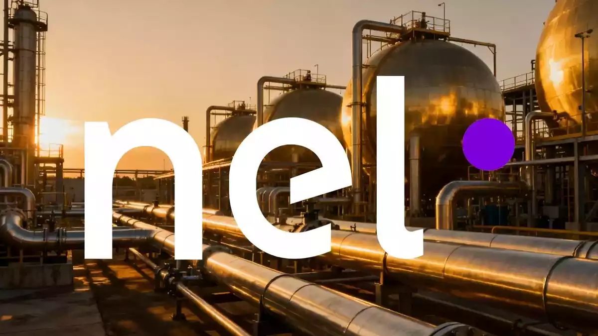Nel ASA Q2 2024: Orders Surge 224% but Shares Slide on Revenue Dip