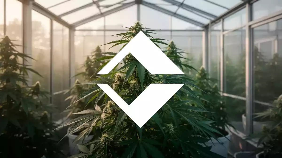 Trulieve's DEA Registration and Redomiciliation Reshape Cannabis Investment Landscape