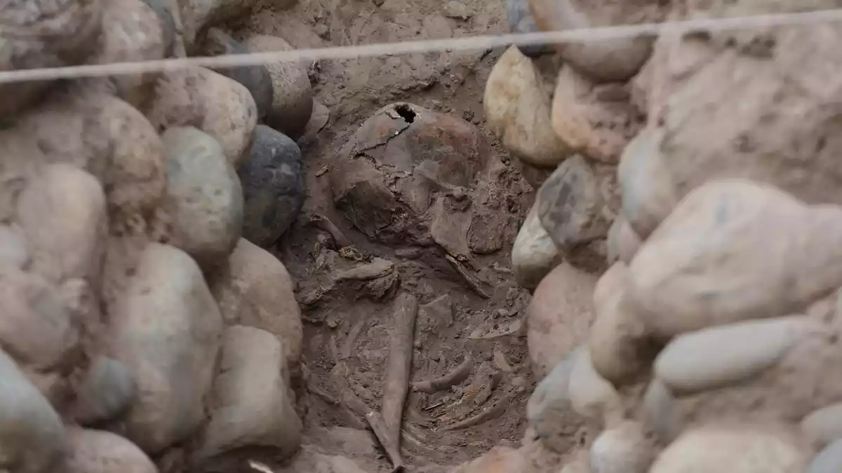 Die Archäologen bringen den Fund mit rituellen Praktiken der Lima-Kultur in Verbindung.  - Bild: Martin Mejia/AP/dpa