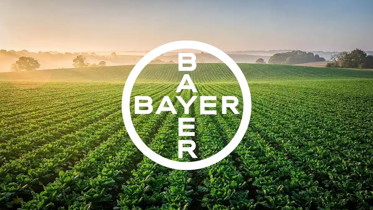 Bayer Stock Rises as Debt Target Improves, Restructuring Costs Weigh