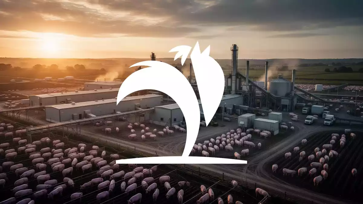 Pilgrim's Pride: JBS plant Komplettübernahme und Delisting von der Nasdaq