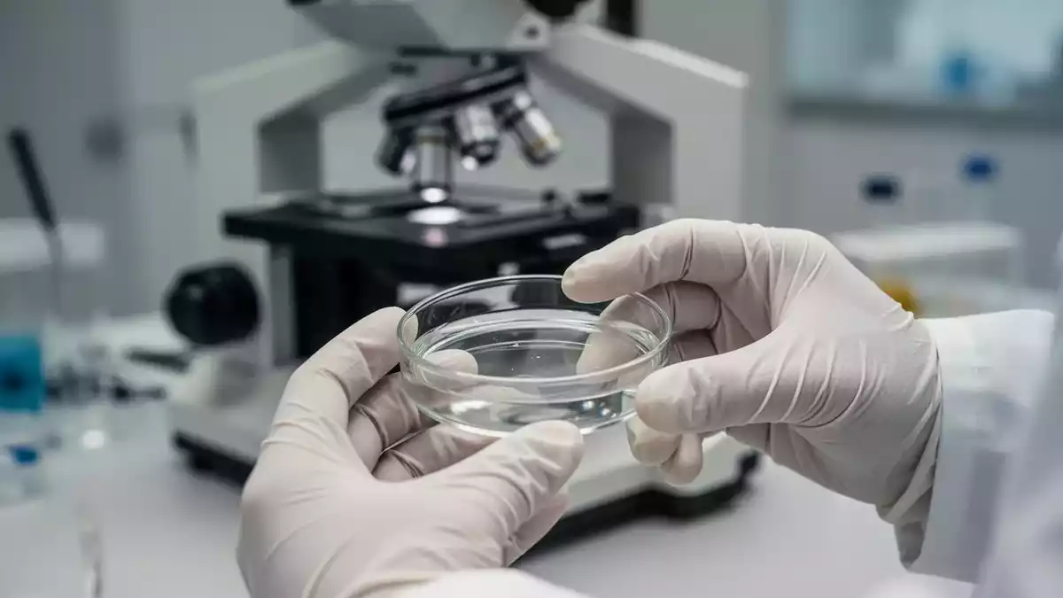 Neurowissenschaft 2026: Neue Studien zu Gehirn-Reparatur und Fokus