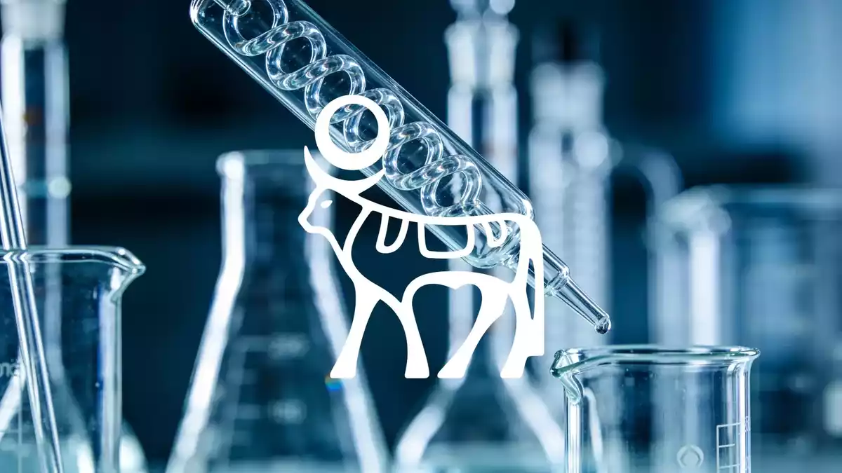 Novo Nordisk: Aktienrückkäufe, juristischer Sieg und KI-Partnerschaft im Fokus
