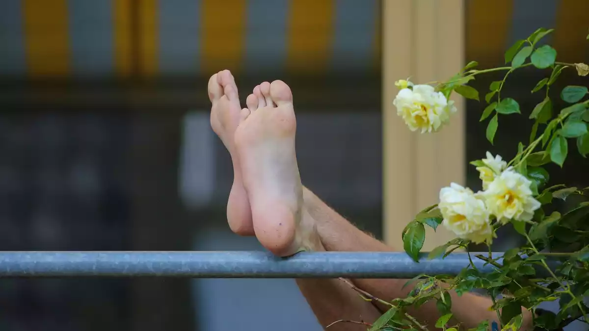 Die Internationale Gartenausstellung IGA sucht den schönsten Balkon im Ruhrgebiet. (Symbolbild) - Bild: Thomas Warnack/dpa/dpa-tmn