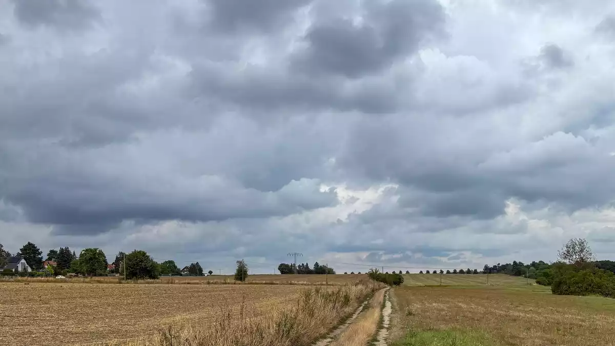 Dunkle Wolken und Gewitter ziehen nach der Vorhersage des Deutschen Wetterdiensts aus Westen heran. (Archivbild)  - Bild: Jan Woitas/dpa