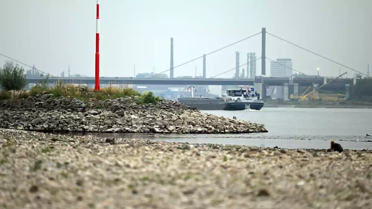 Der Regen stoppt das weitere Absinken der Pegelstände. Die Schifffahrt sollte aber nicht zu viel erwarten, warnt ein Experte. (Archivbild)  - Bild: Federico Gambarini/dpa