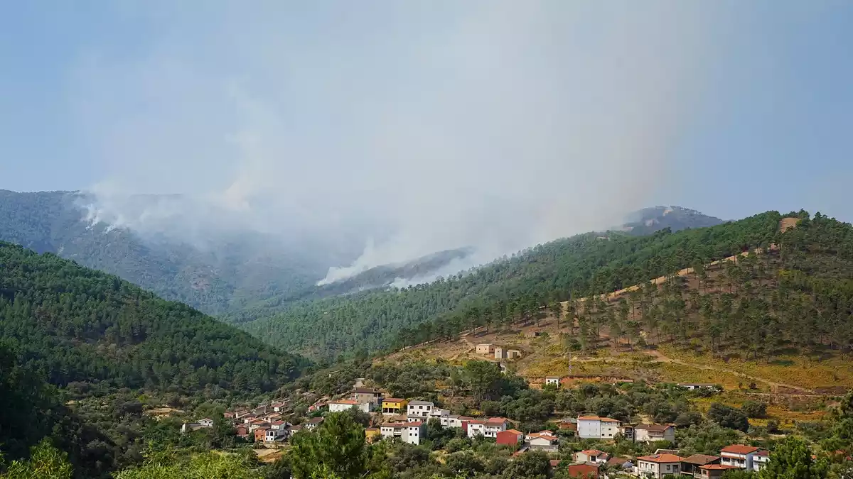 Das Feuer in Cáceres wurden höchstwahrscheinlich absichtlich gelegt. - Bild: Carlos Criado/EUROPA PRESS/dpa