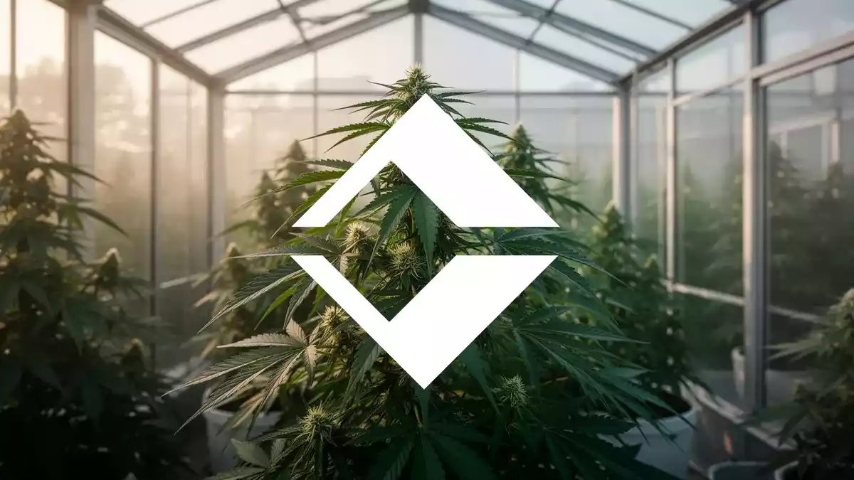 Trulieve Makes History as First US Cannabis Firm on NYSE