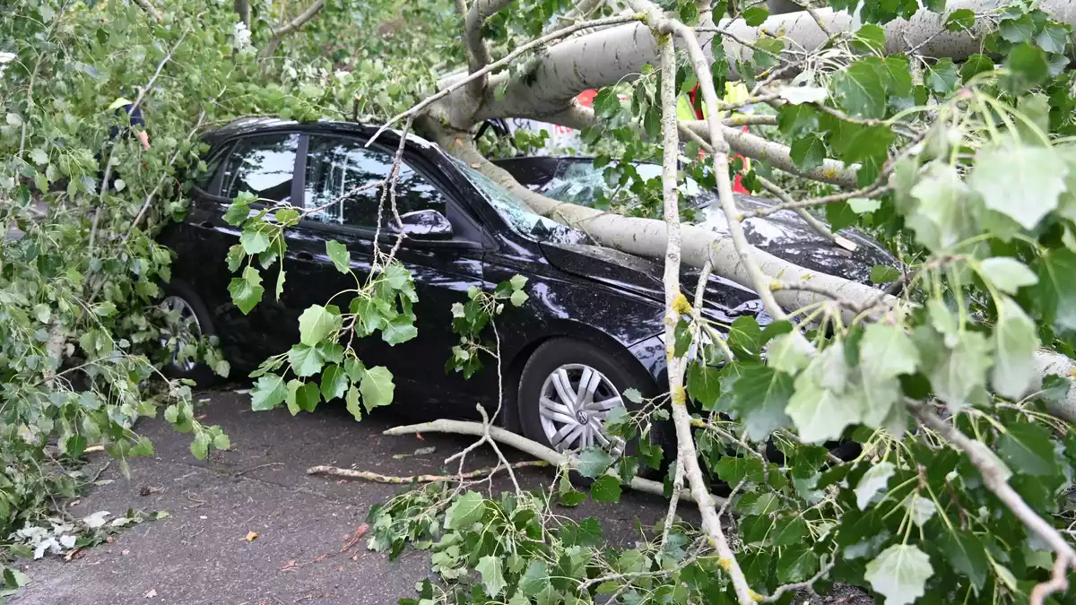 Schaden entstanden auch durch umgestürzte Bäume, die auf Autos fielen. - Bild: Sappeck/BLP/dpa