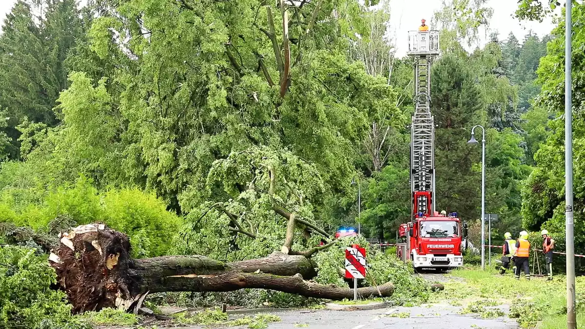 Über den Norden von Rheinland-Pfalz sind am Abend schwere Unwetter hinweggezogen, mindestens zwei Menschen wurden im Bereich der Polizeidirektion Mayen durch einen umstürzenden Baum schwer verletzt. (Symbolbild) - Bild: André März/News5/dpa