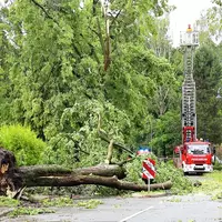 Über den Norden von Rheinland-Pfalz sind am Abend schwere Unwetter hinweggezogen, mindestens zwei Menschen wurden im Bereich der Polizeidirektion Mayen durch einen umstürzenden Baum schwer verletzt. (Symbolbild) - Foto: André März/News5/dpa