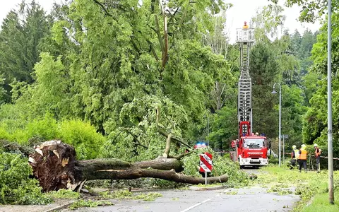 Über den Norden von Rheinland-Pfalz sind am Abend schwere Unwetter hinweggezogen, mindestens zwei Menschen wurden im Bereich der Polizeidirektion Mayen durch einen umstürzenden Baum schwer verletzt. (Symbolbild) - Foto: André März/News5/dpa